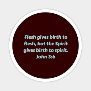 Bible Verse John 3:6 Magnet